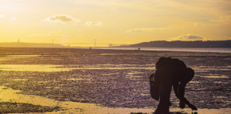 Fotografia no Mercado do Peixe