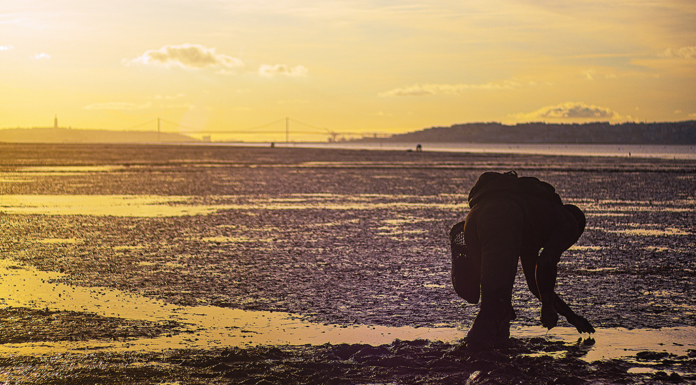 Fotografia no Mercado do Peixe