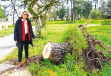 Escolas da região com estragos da intempérie