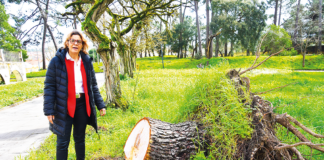 Escolas da região com estragos da intempérie