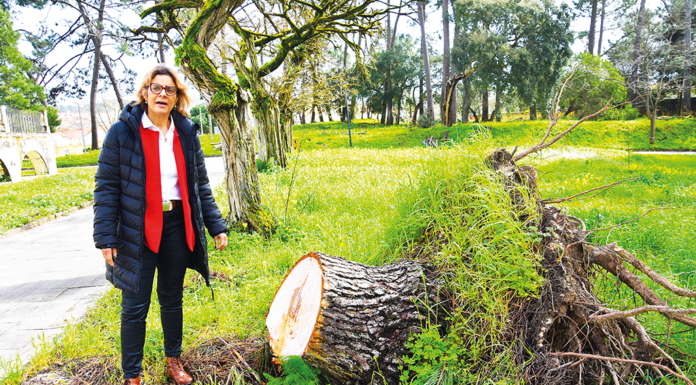 Escolas da região com estragos da intempérie