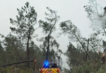 Galgamento do Rio Alcoa obriga a realojar 17 pessoas em Alcobaça