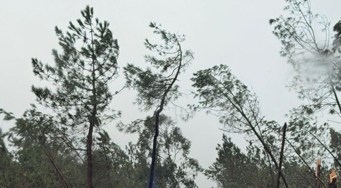 Galgamento do Rio Alcoa obriga a realojar 17 pessoas em Alcobaça