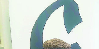 Limão gigante cresceu em árvore no centro da cidade