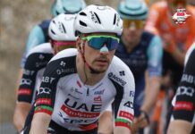 João Almeida e António Morgado já correm no Algarve