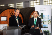 Tempestade Kristin traz desafios e oportunidades para o Oeste