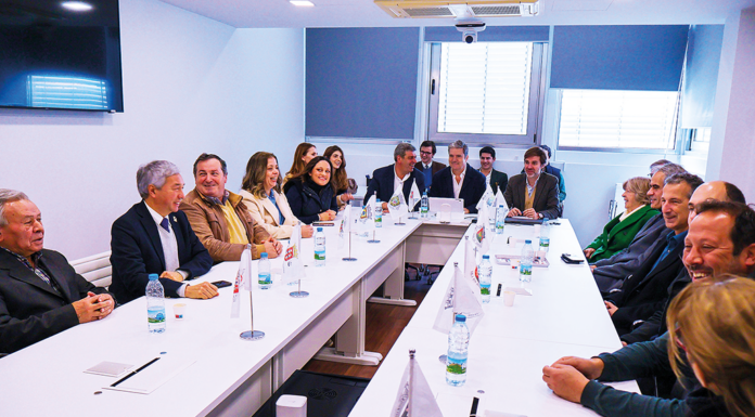 CDS-PP exige celeridade na chegada de apoios às vítimas das tempestades