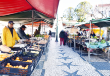 Câmara prevê verba em Orçamento para estudo da cobertura da Praça