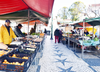 Câmara prevê verba em Orçamento para estudo da cobertura da Praça