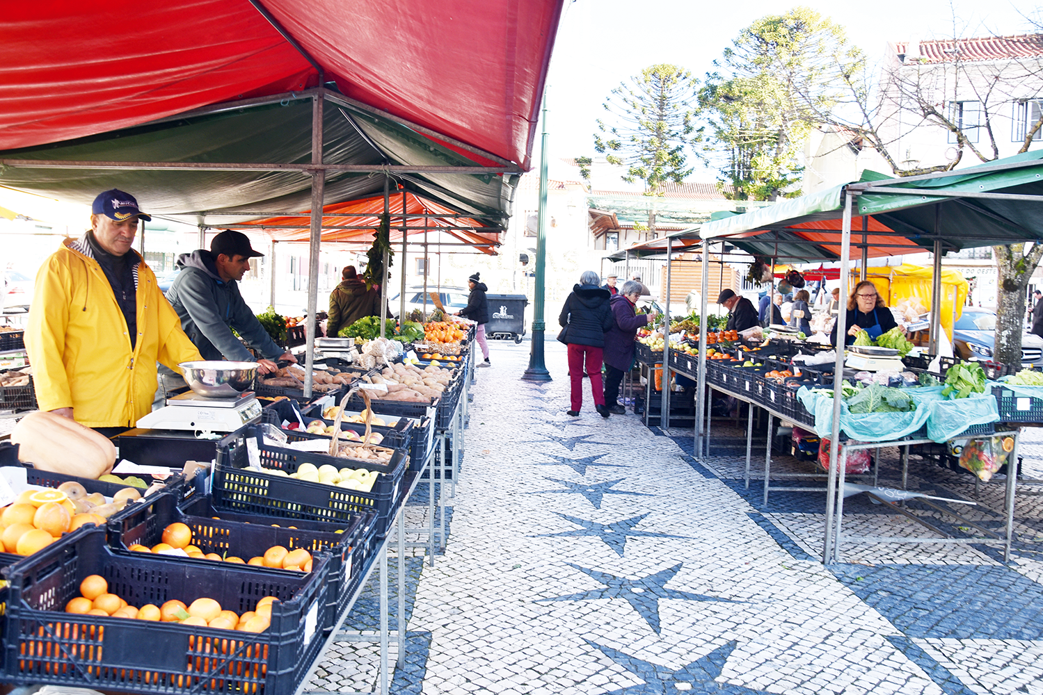 Câmara prevê verba em Orçamento para estudo da cobertura da Praça
