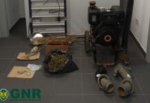 Dois detidos por furto em terreno agrícola no Bombarral, após cinco meses de investigação