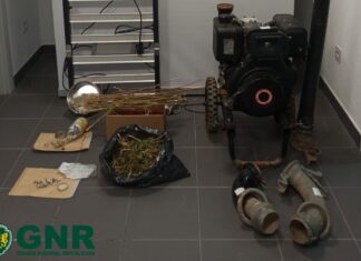 Dois detidos por furto em terreno agrícola no Bombarral, após cinco meses de investigação