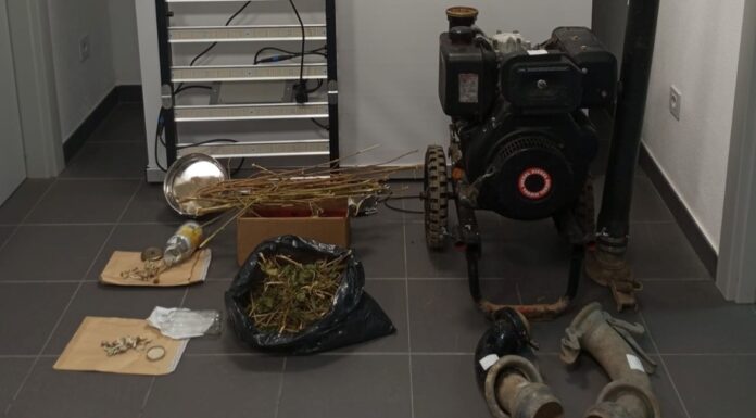 Dois detidos por furto em terreno agrícola no Bombarral, após cinco meses de investigação