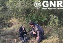 Idosa de 75 anos desaparecida em Santa Catarina localizada pela GNR