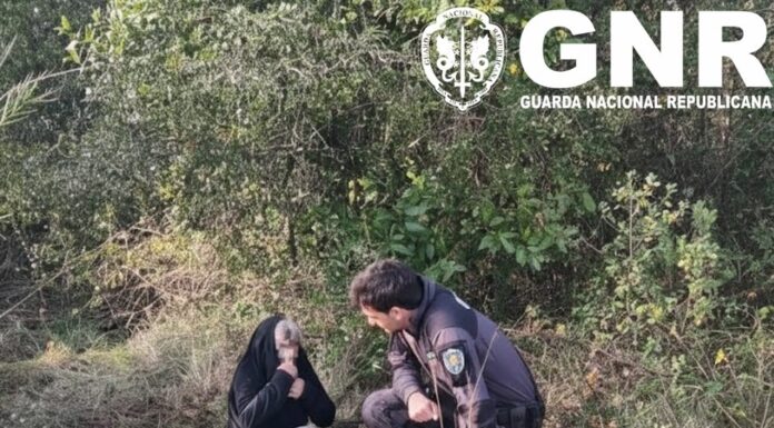 Idosa de 75 anos desaparecida em Santa Catarina localizada pela GNR