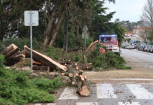 Região Oeste com 22 deslocados e 12 desalojados