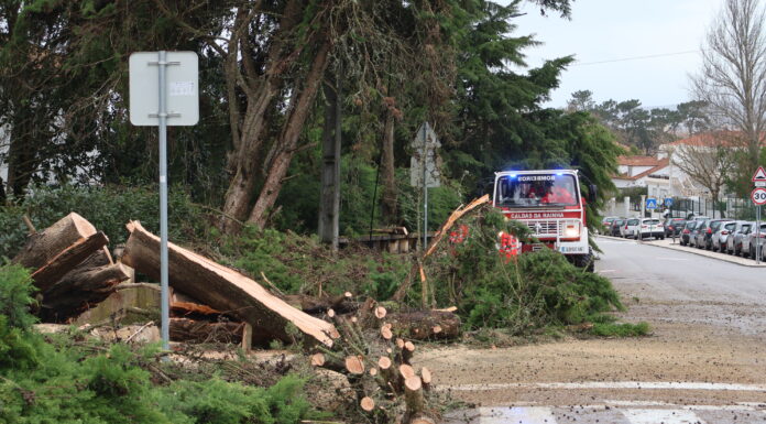 OesteCim vai coordenar candidaturas a apoios na região do Oeste