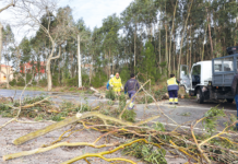 Depressão Kristin deixou rasto de destruição na região