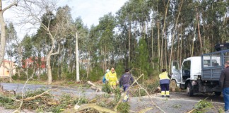 Depressão Kristin deixou rasto de destruição na região