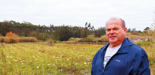 Agricultores enfrentam perdas avultadas e incerteza no futuro