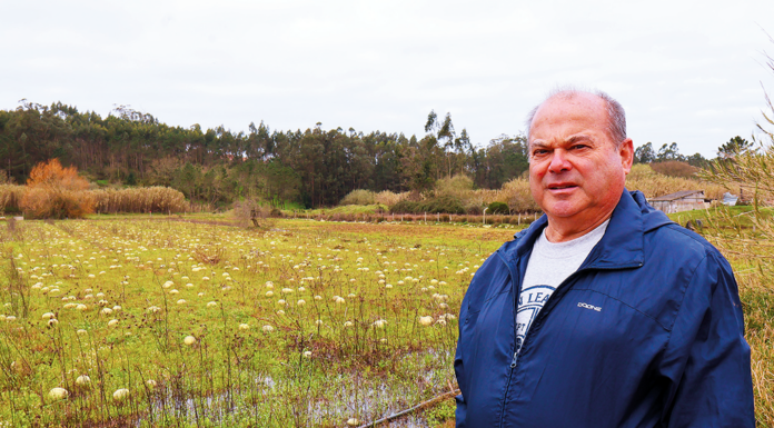 Agricultores enfrentam perdas avultadas e incerteza no futuro