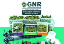 Caldas: Tráfico de droga em Alvorninha leva a prisão preventiva