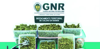 Caldas: Tráfico de droga em Alvorninha leva a prisão preventiva