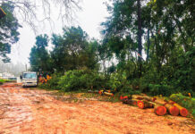 Caldas-1.º Dezembro será mesmo na Mata, este domingo às 16 horas