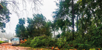 Caldas-1.º Dezembro será mesmo na Mata, este domingo às 16 horas