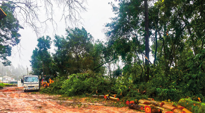 Caldas-1.º Dezembro será mesmo na Mata, este domingo às 16 horas