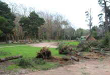 Parque D. Carlos reaberto com restrições nas áreas mais atingidas