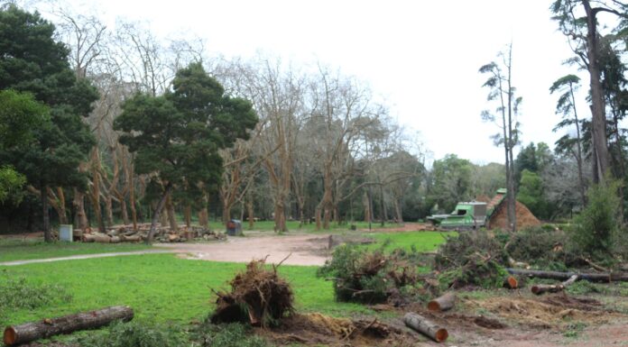 Parque D. Carlos reaberto com restrições nas áreas mais atingidas