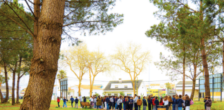 Festa da Árvore procura sensibilizar crianças