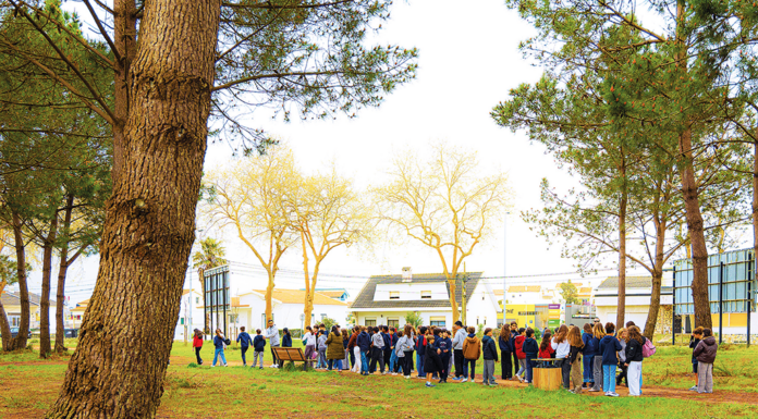 Festa da Árvore procura sensibilizar crianças