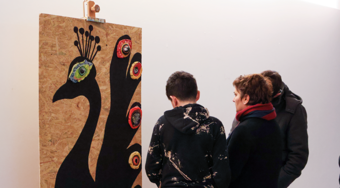 Exposição dos animais do parque para o 1º ciclo no CCC