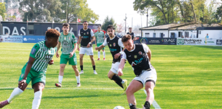 Golo made in Marinha dá vantagem sobre o Lusitano