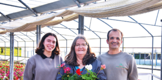 As flores são o “mundo” de Margarida