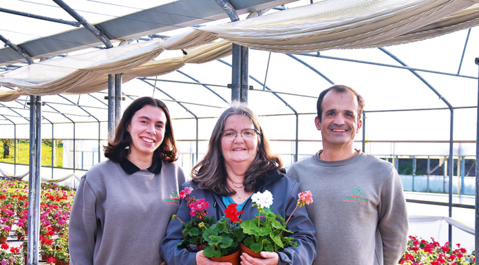 As flores são o “mundo” de Margarida