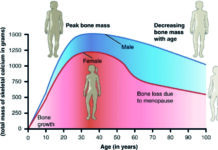 Saúde como prenda para o dia da mulher!