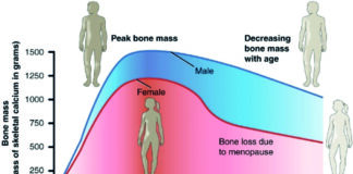 Saúde como prenda para o dia da mulher!