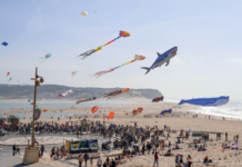 Papagaios levaram multidão à Foz