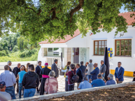 Da programaração faz parte uma visita-guiada ao novo museu