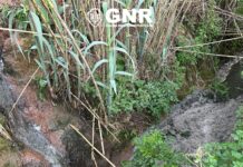 Detetada descarga ilegal de efluentes pecuários em Alvorninha