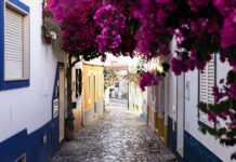 O tempo quente chegou e mostramos como criar uma zona de lazer superrefrescante para os miúdos