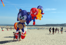 Papagaios gigantes voltam aos céus da Foz