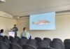Lançado concurso de 14 ME para unidade de aquacultura de corvina em Peniche