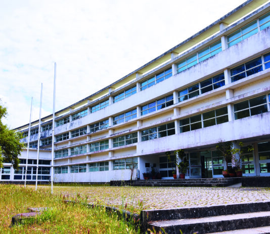 Os docentes da escola de artes caldense pretendem que seja discutida a situação dos professores especialistas