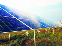 Objetivo da empresa é que aCentral Fotovoltaica das Caldas, com uma área de implantação de 7,6 hectares, comece a ser construída em inícios de 2027