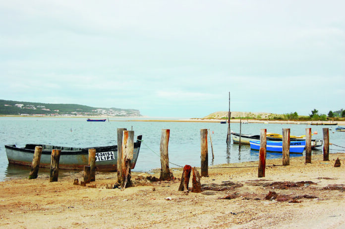 A interdição da pesca de bivalves na Lagoa é por “tempo indeterminado”