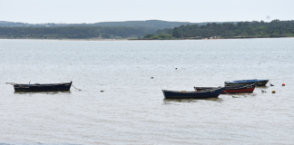 PSD recomenda ao Governo criar Observatório da Lagoa de Óbidos